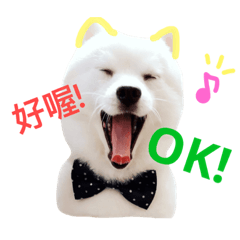 [LINEスタンプ] Spitz dog