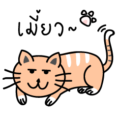 [LINEスタンプ] what's cat thinking