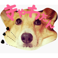 [LINEスタンプ] 楽我と銀河すたんぷ