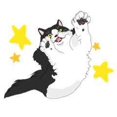 [LINEスタンプ] ノルウェージャンフォレストキャットのハナ