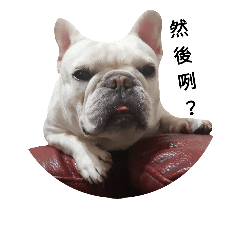 [LINEスタンプ] French Bulldog QBM