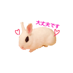 [LINEスタンプ] bunny chan sticker