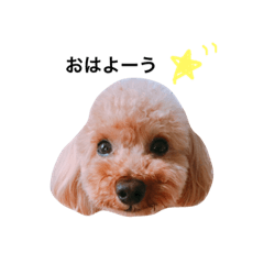 [LINEスタンプ] とあのきもち