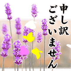 [LINEスタンプ] 蝶々と花の敬語スタンプ