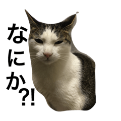 [LINEスタンプ] 楽しい仲間たちNO1