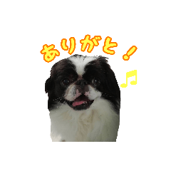 [LINEスタンプ] 狆獣と子グマ