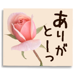 [LINEスタンプ] バラの花の付箋2（よく使う言葉・敬語）の画像（メイン）