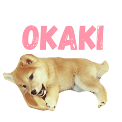 [LINEスタンプ] OKAKI stamp