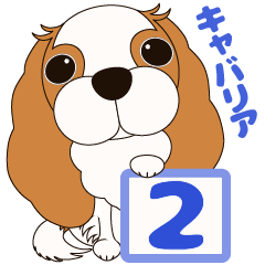 [LINEスタンプ] キャバリア犬♪ブレンハイム(白多め)2