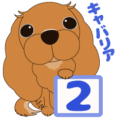 [LINEスタンプ] キャバリア犬♪ルビー2