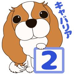 [LINEスタンプ] キャバリア犬♪ブレンハイム(白少なめ)2