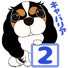 [LINEスタンプ] キャバリア犬♪トライカラー2