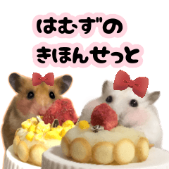 [LINEスタンプ] はむずのきほんせっと