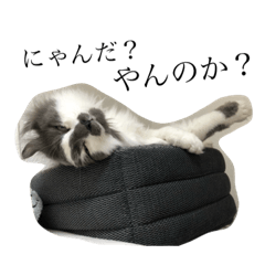 [LINEスタンプ] 猫のベンとメル