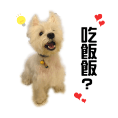 [LINEスタンプ] west highland white terrier pipi doggy