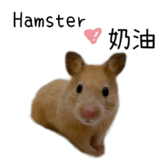 [LINEスタンプ] Hamster Butter