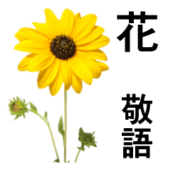 [LINEスタンプ] お花の日常スタンプ【敬語編】の画像（メイン）