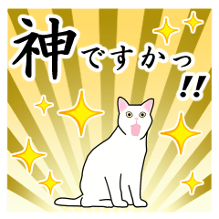 [LINEスタンプ] シンプル白猫☆挨拶・ほめる・返事の画像（メイン）