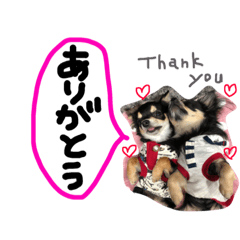 [LINEスタンプ] mame＆azuki2