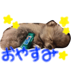 [LINEスタンプ] まうたん♡