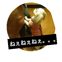 [LINEスタンプ] 我が家のマドンナの1日。パート2。