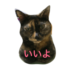 [LINEスタンプ] woca@cat stamp2