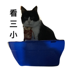 [LINEスタンプ] Qcat Every day 1