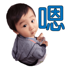 [LINEスタンプ] Lifestyle Phrases Lifestyle Phrases