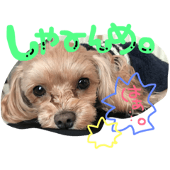 [LINEスタンプ] cocolulu！love！