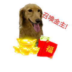 [LINEスタンプ] dachshund pipi