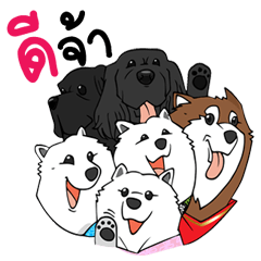 [LINEスタンプ] Samoyed Kori Family