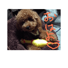 [LINEスタンプ] 僕はお利口犬