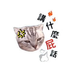 [LINEスタンプ] Cat Nini ＆ Baby Wu