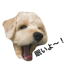 [LINEスタンプ] さとるの日常1