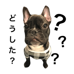 [LINEスタンプ] テツの日常スタンプ