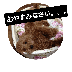 [LINEスタンプ] ひめの1日。