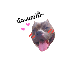 [LINEスタンプ] i'm happy dog