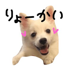 [LINEスタンプ] スピッツゆきちゃん