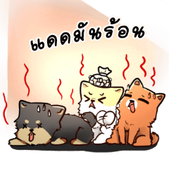 [LINEスタンプ] Little 3 dogs