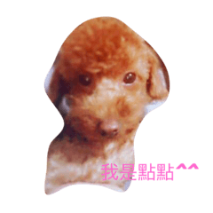 [LINEスタンプ] Poodle dot articles