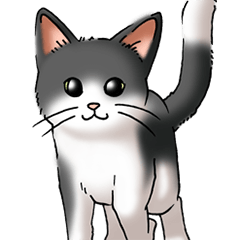 [LINEスタンプ] 猫図鑑 白黒猫