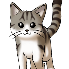 [LINEスタンプ] 猫図鑑 キジトラ白猫
