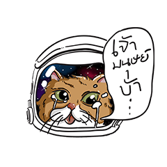 [LINEスタンプ] Space Cat Odyssey