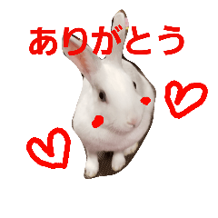 [LINEスタンプ] 白ウサのプクリン