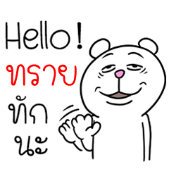 [LINEスタンプ] I'm Sai V.Funny Bear