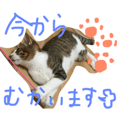 [LINEスタンプ] ルナ吉