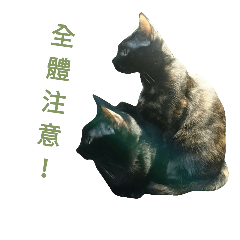 [LINEスタンプ] Antler are two cats.の画像（メイン）