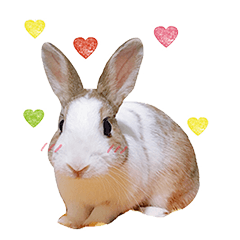 [LINEスタンプ] ウサギ ミリちゃんの画像（メイン）