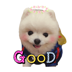 [LINEスタンプ] 犬 tiffany_2