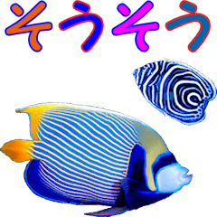 [LINEスタンプ] 沖縄の魚の親子がしゃべる相づち